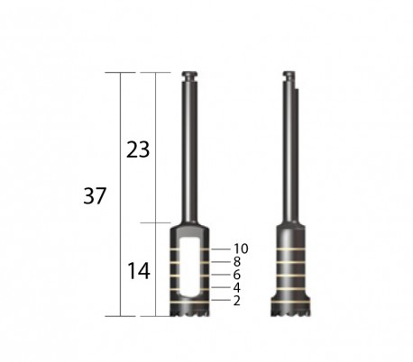 کیت Dentium - Trephine Bur