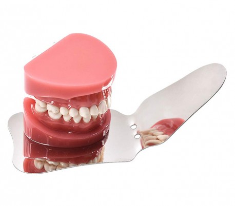 TakSaz Idea - Dental Steel Photography Mirror- A+E Model