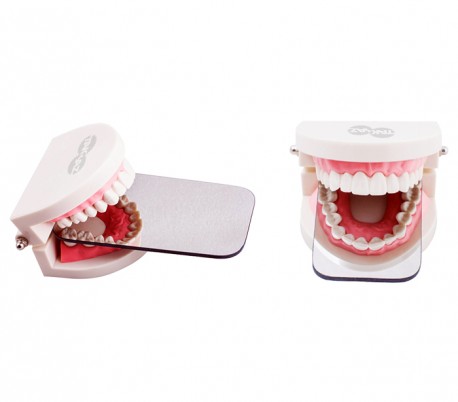 TakSaz Idea - Dental Steel Photography Mirror - A Model