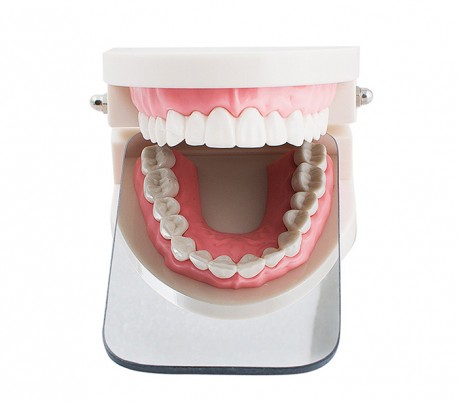 TakSaz Idea - Dental Steel Photography Mirror - A Model