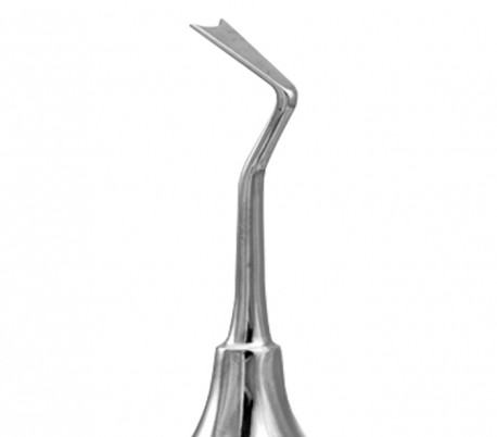 Dena Puya - 1.2 Sanders Periodontal Knife