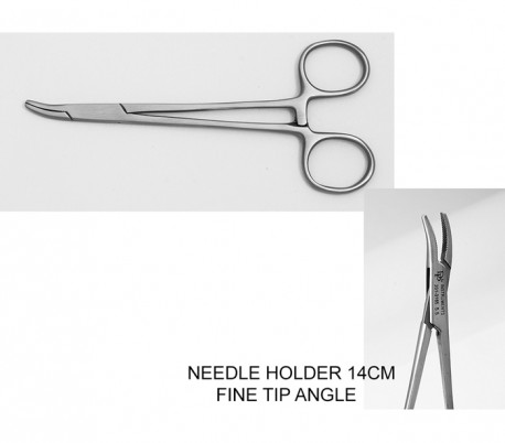 Dena Puya - Needle Holder