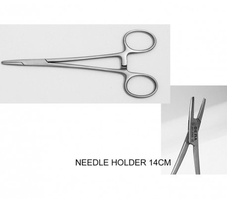 Dena Puya - Needle Holder