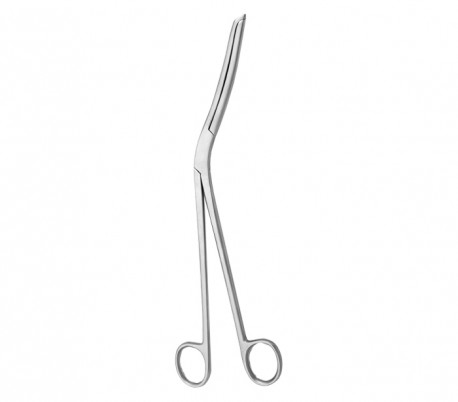 Dena Puya - Cheatle Forceps