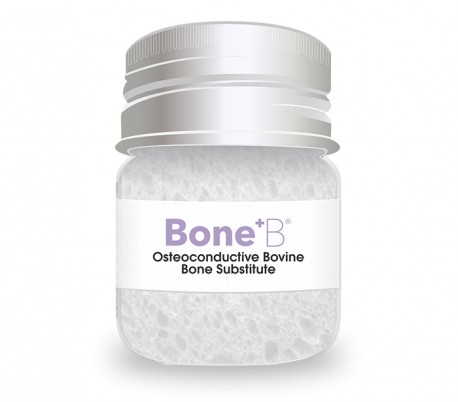 NovaTeb - Bone+ B Granule