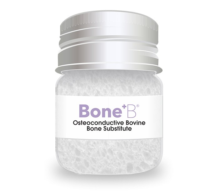 NovaTeb - Bone+ B Bone Xeno Graft - Dandal Volume V 0.5cc Particle Size ...