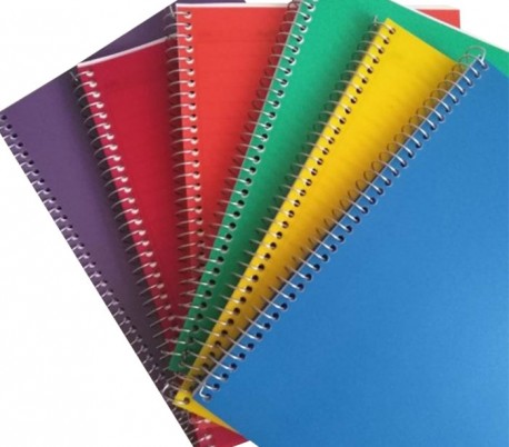 Ali - Notebook with 80 Papers