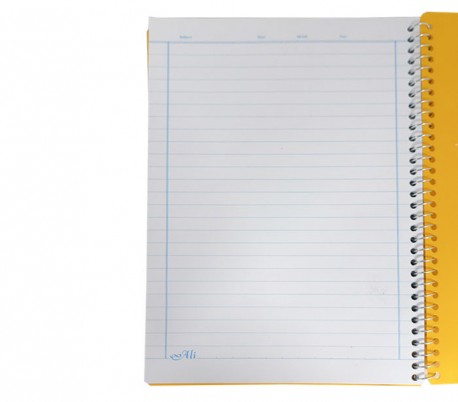 Ali - Notebook with 80 Papers