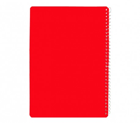 Ali - Notebook with 80 Papers