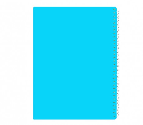 Ali - Notebook with 80 Papers