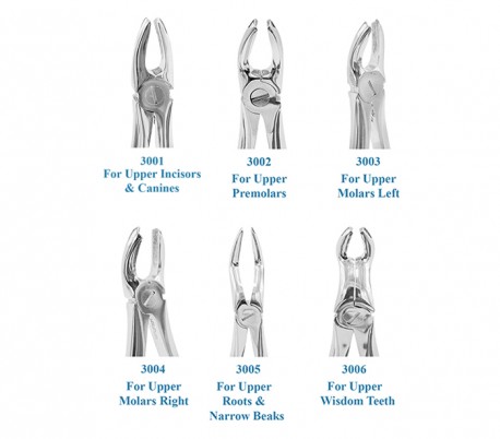 Smart Instru - Adult Forceps