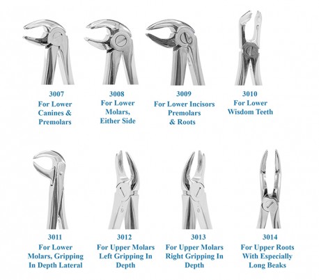 Smart Instru - Adult Forceps