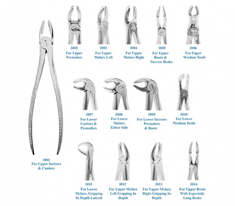 Smart Instru - Adult Forceps