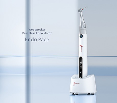 موتور اندو بی سیم Woodpecker - Endo Pace