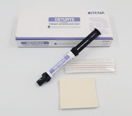 itena - Obturys Handmix Root Canal Sealer