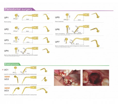 Woodpecker - Surgic Touch LED Piezo Bone Surgery