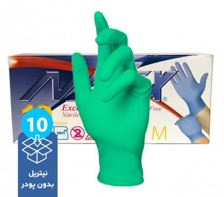 Harir - Nitex Nitrile Examination Gloves 10PCS