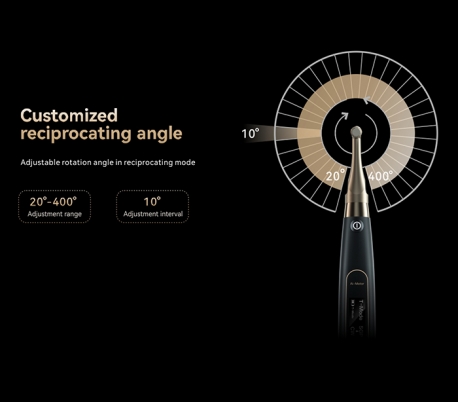 DTE Woodpecker - Ai-Motor T-mode Endo Motor