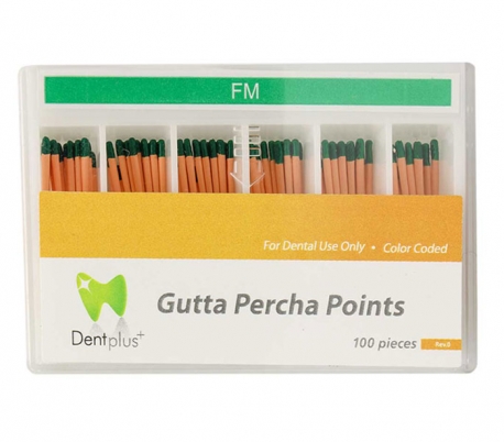 DiaDent - DentPlus Gutta percha Accessory Size