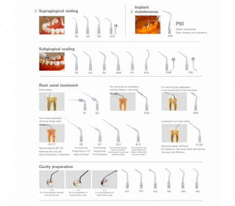 جرمگیری اولتراسونیک Woodpecker - UDS-E