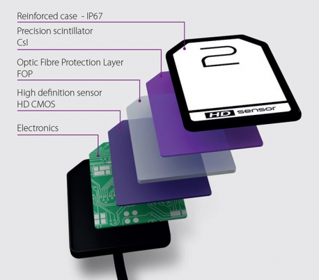 MyRay - Zen-X Radiography Sensor