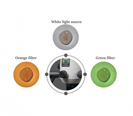 MediWorks - SM610 Pro Dental Microscope Options