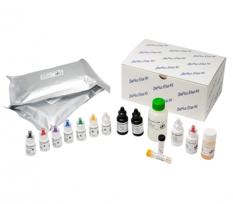 Diaplus - Beta HCG Rapid ELISA Kit