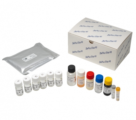 Diaplus - Prolactin ELISA Kit