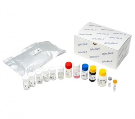 Diaplus - AMH ELISA Kit