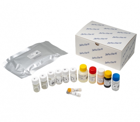 Diaplus - LH ELISA Kit