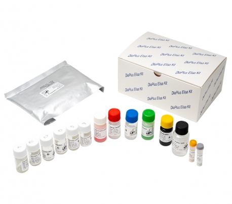 Diaplus - Ferritin ELISA Kit