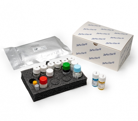 Diaplus - Vitamin B12 ELISA Kit