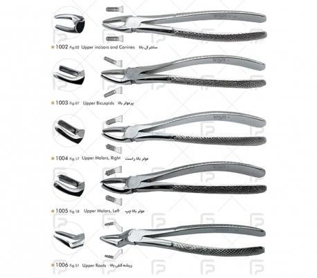 Fattah Teb - Adult Forceps