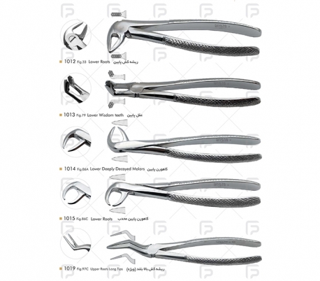 Fattah Teb - Adult Forceps