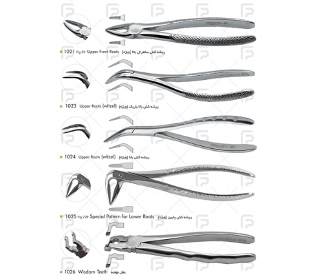 Fattah Teb - Adult Forceps