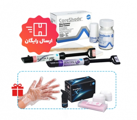 Dental Package: Shofu