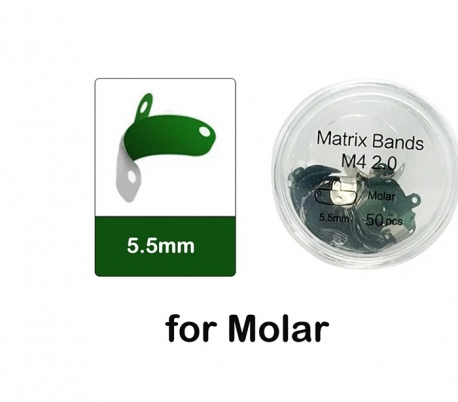 ZT Dental - Sectional Matrix Bands With Hole & PTFE Coated M4 2.0