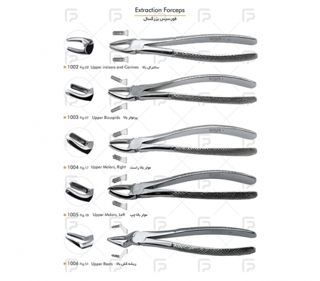 Fattah Teb - Adult Forceps Student Set