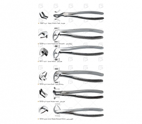 Fattah Teb - Adult Forceps Student Set