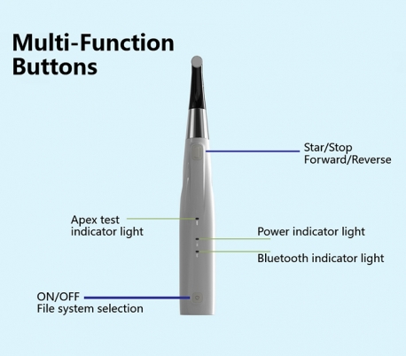 Coxo - C-Smart-1 Pilot Endo Motor