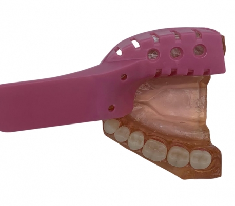Taksan -  Half Jaw Tray With Teeth