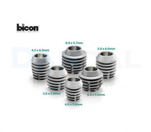 Bicon Implant