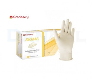 Cranberry - Sigma Latex Powder Free Gloves