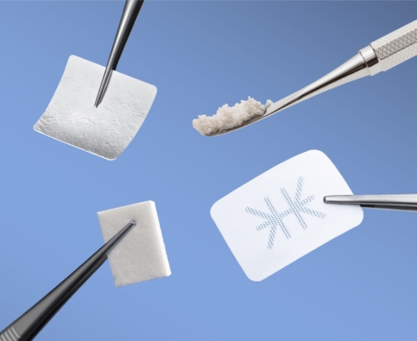 Bone Regeneration Graft Material