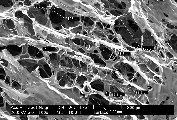 dental cell