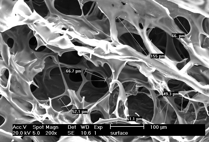 dental cell