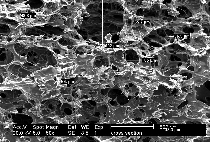 dental cell