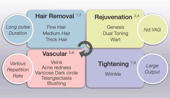 Long Pulsed Nd:YAG Laser Model Aileen