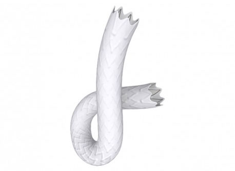 Bentley InnoMed - BeGraft Peripheral Stent Graft