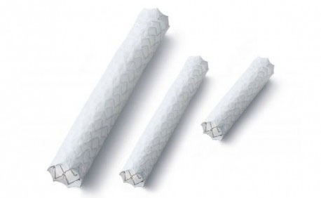 Jotec - E-Ventus BX Peripheral Stent Graft